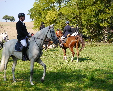 NetObjects Fusion 2015